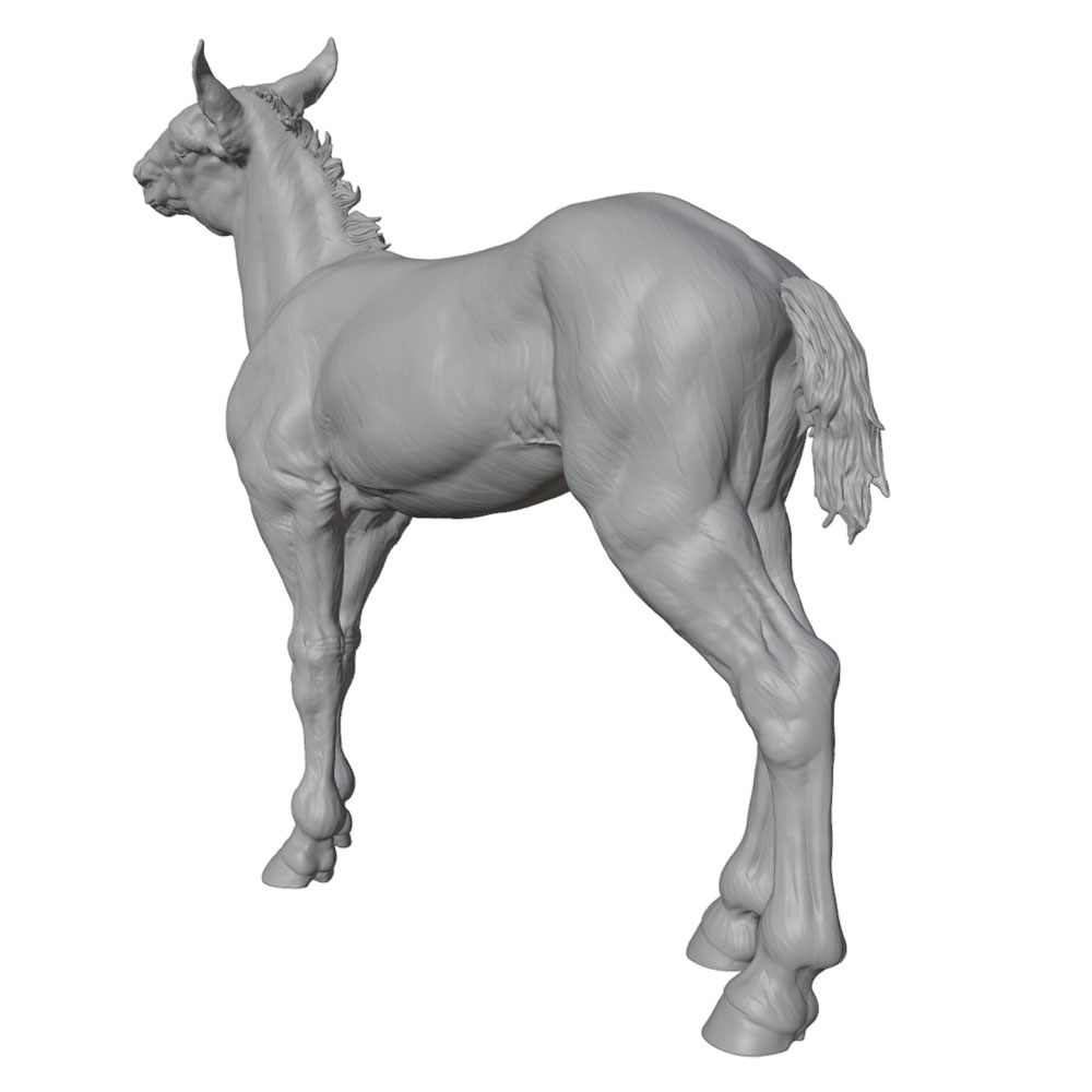 طباعة عالية التفاصيل، تمثال حص - مراجعة 3D Printing Ideas وسعره