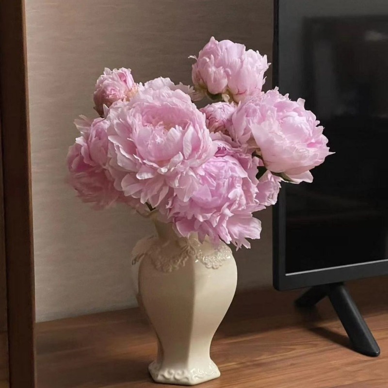 مزهرية سيراميك فرنسية عصرية لغ - مراجعة 3D Printing Vase وسعره